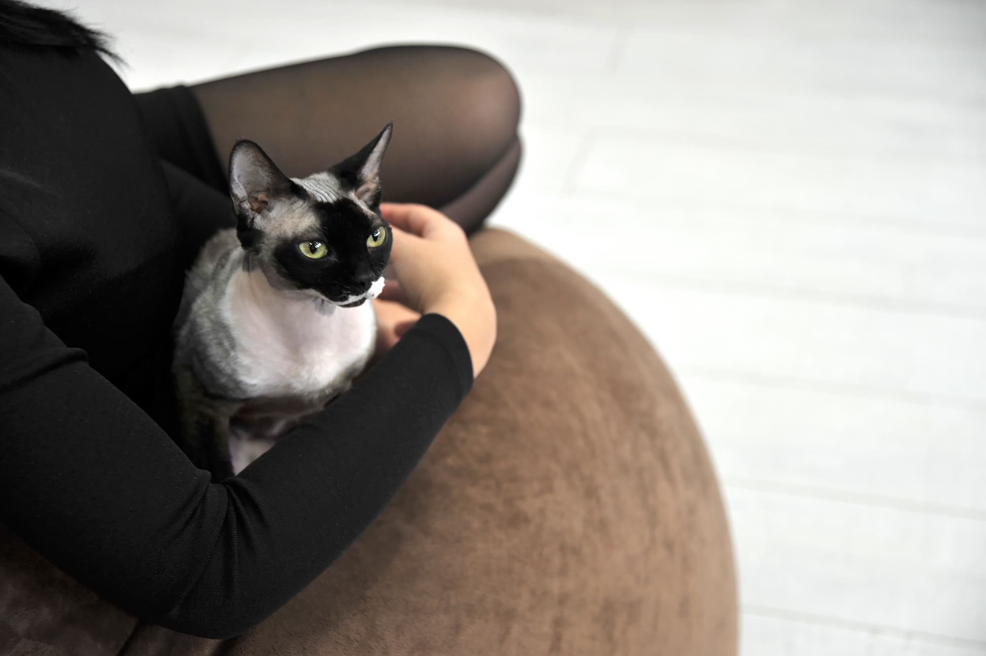 Большое кресло-мешок из еврофлока Босс Юта превью 3